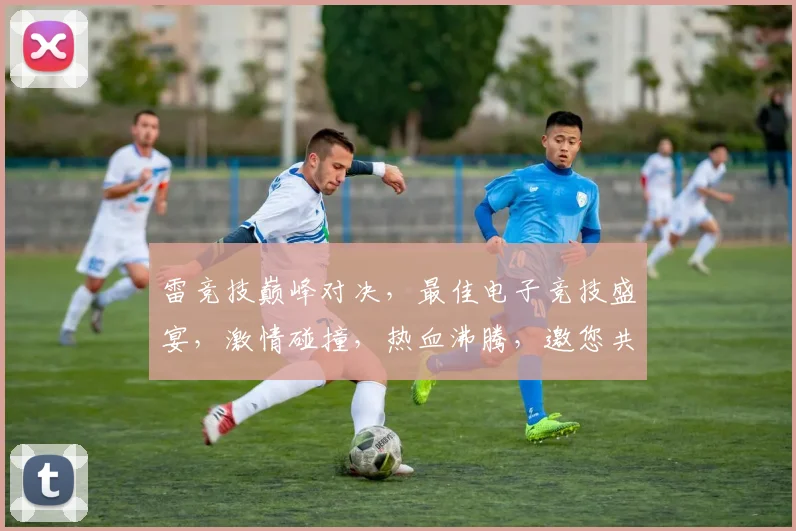 雷竞技巅峰对决，最佳电子竞技盛宴，激情碰撞，热血沸腾，邀您共赏