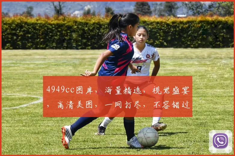 4949cc图库，海量精选，视觉盛宴，高清美图，一网打尽，不容错过