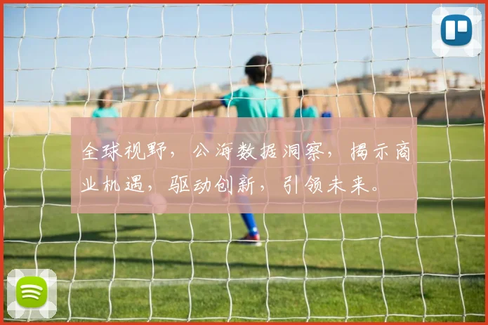 全球视野，公海数据洞察，揭示商业机遇，驱动创新，引领未来。