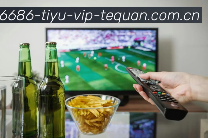 6686体育VIP特权APP 封面图